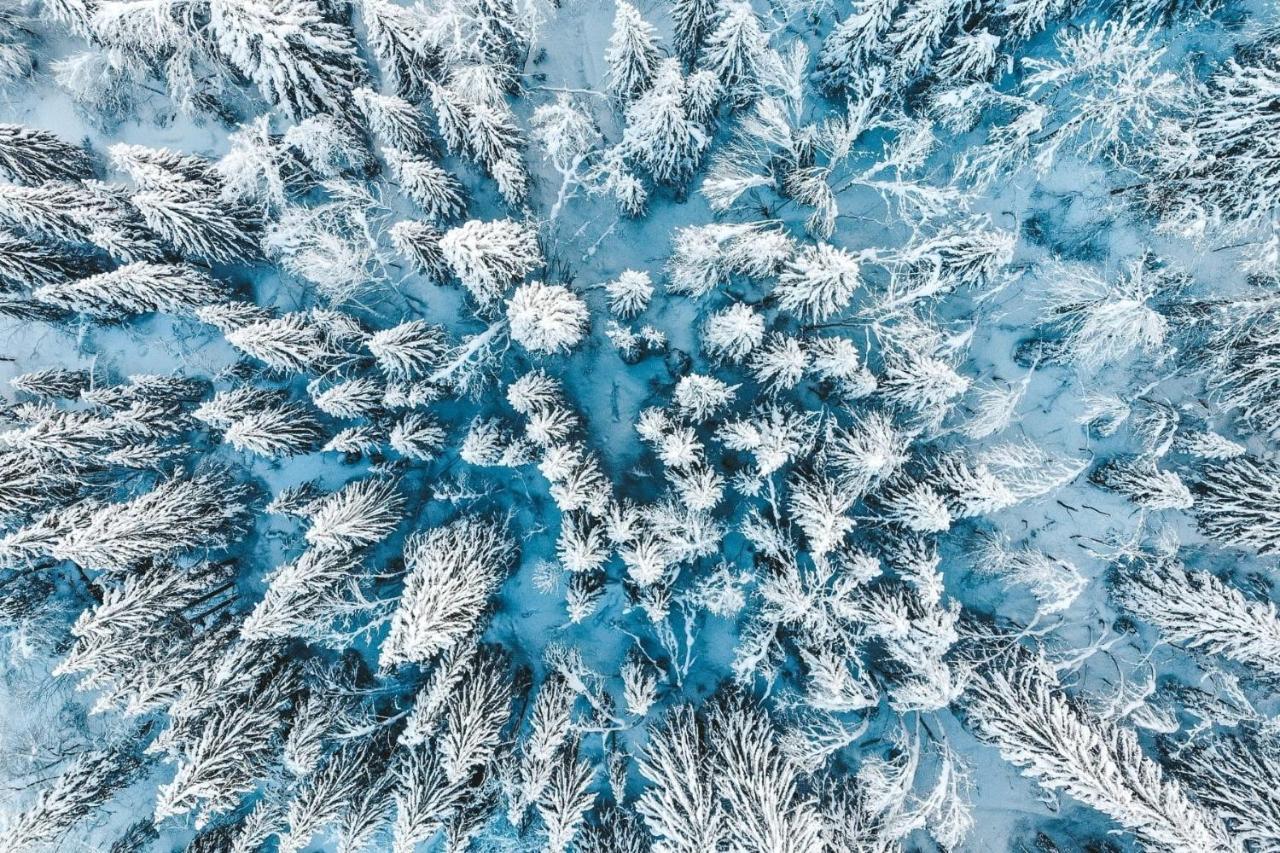 Appartamento La Petite Azalée Montriond Esterno foto